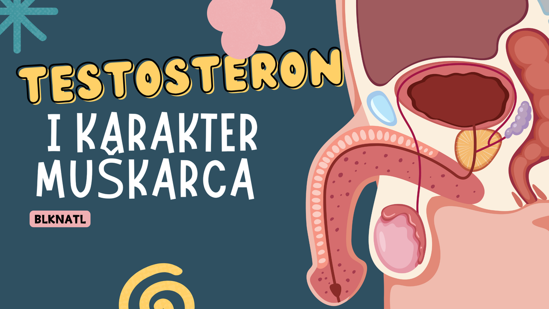 Testosteron i Karakter Muškarca — Zašto Hormon Određuje Tvoj Put