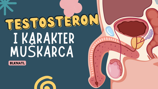 Testosteron i Karakter Muškarca — Zašto Hormon Određuje Tvoj Put
